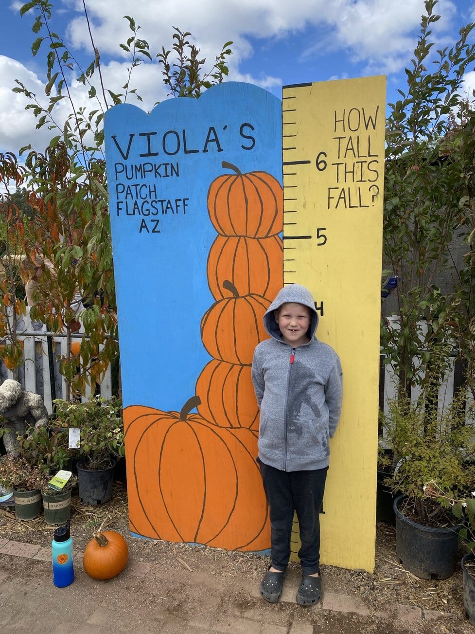 Viola's Pumpkin Patch in Flagstaff - Phoenix With Kids